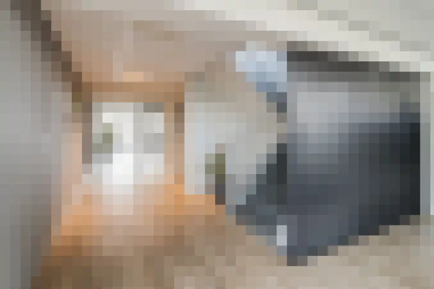 Zomerkade 33 Leiderdorp thumbnail 8