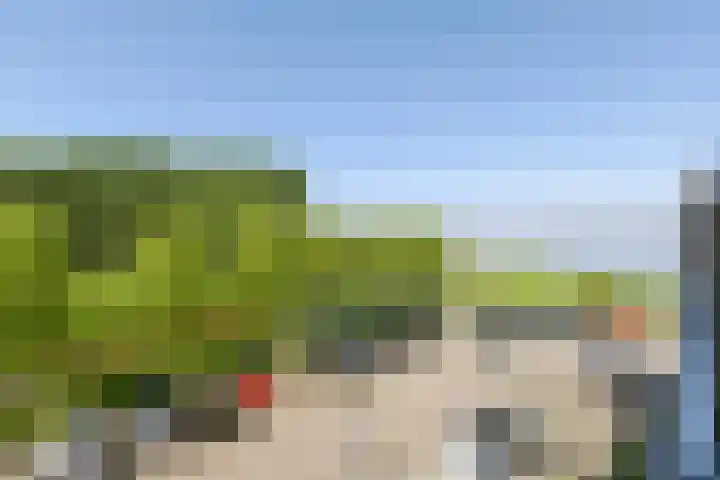 Zomerkade 54 Huizen thumbnail 14