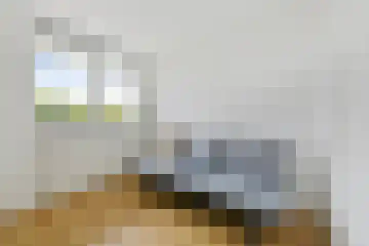 Zomerkade 54 Huizen thumbnail 18