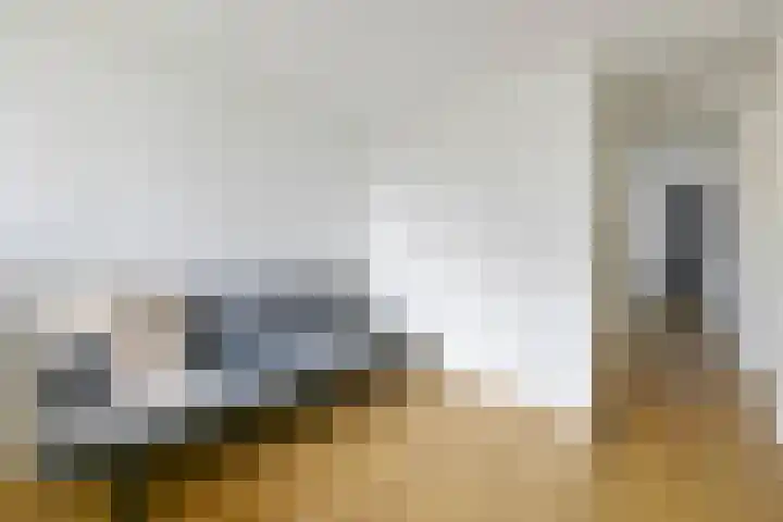 Zomerkade 54 Huizen thumbnail 19