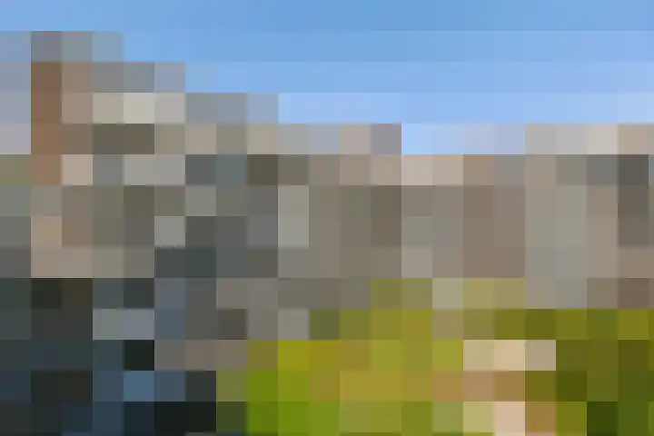 Zomerkade 54 Huizen thumbnail 25