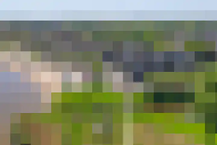 Zomerkade 54 Huizen thumbnail 31