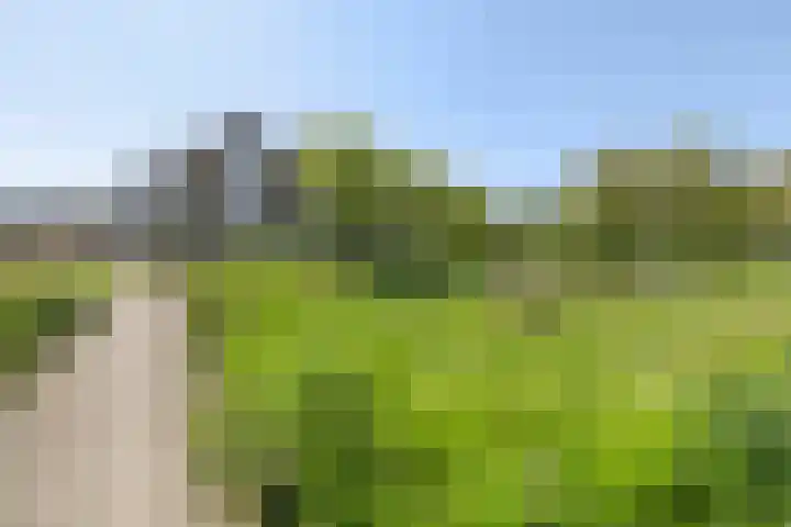 Zomerkade 54 Huizen thumbnail 36