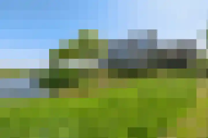 Zomerkade 54 Huizen thumbnail 39