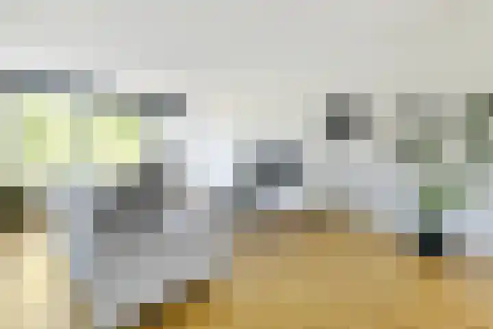 Zomerkade 54 Huizen thumbnail 4