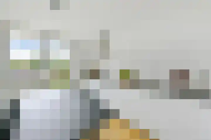 Zomerkade 54 Huizen thumbnail 8