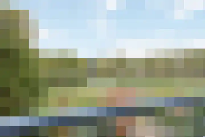 Zomerkade 54 Leiderdorp thumbnail 27