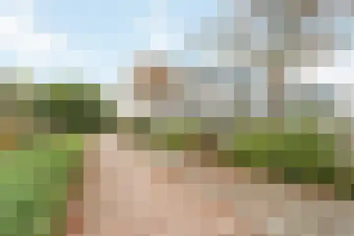 Zomerkade 54 Leiderdorp thumbnail 5