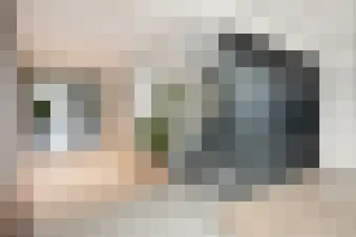 Zomerkade 54 Leiderdorp thumbnail 9