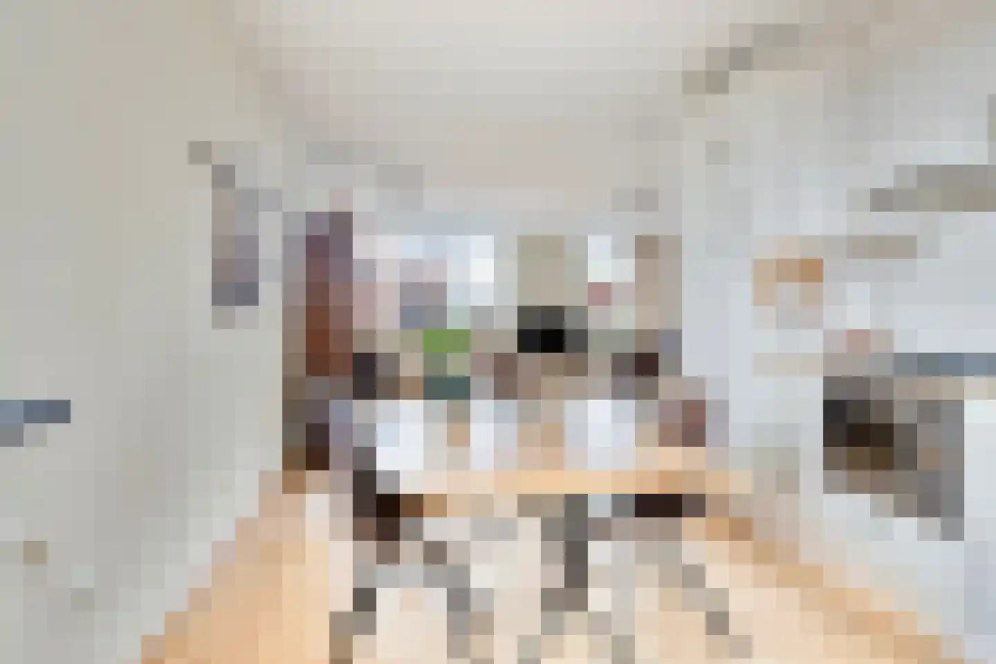 Zomerkade 9 Huizen thumbnail 10