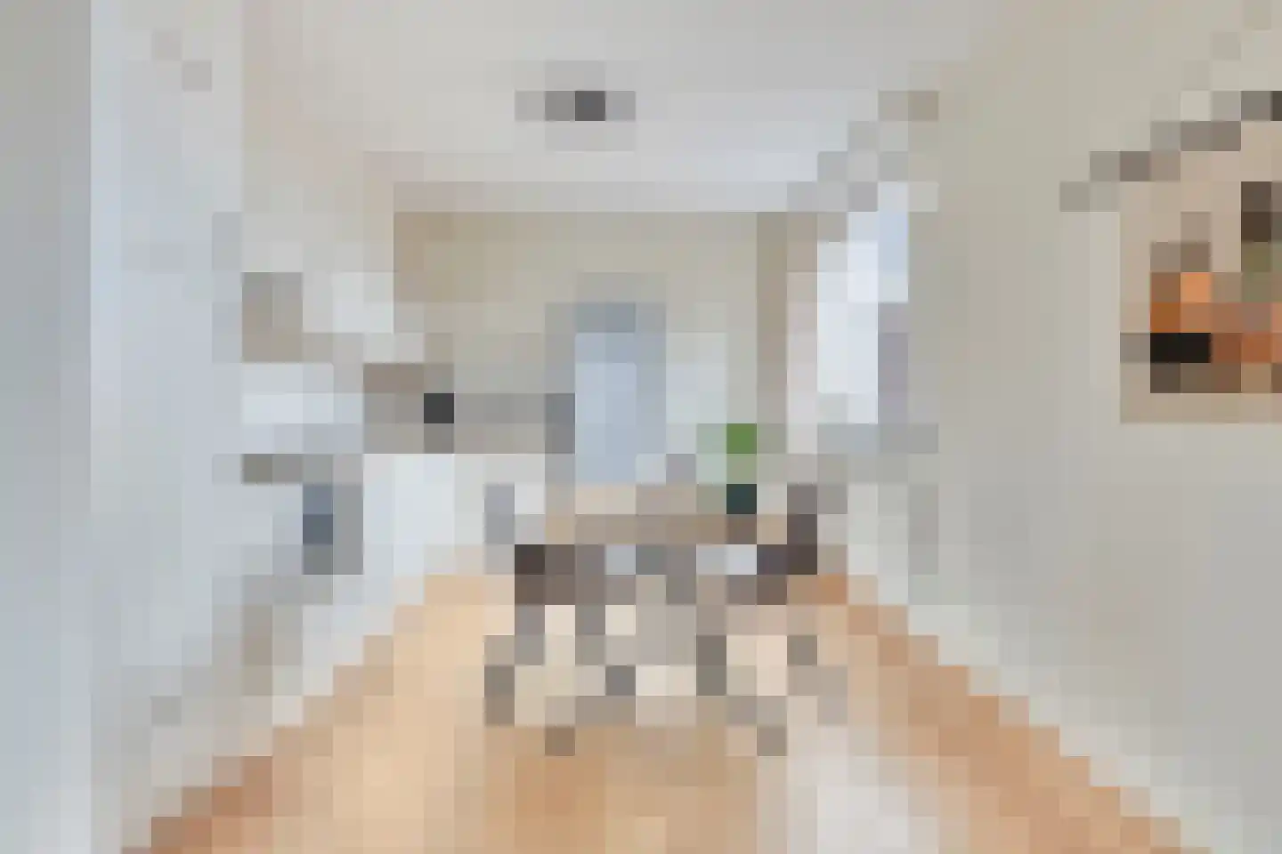 Zomerkade 9 Huizen thumbnail 11