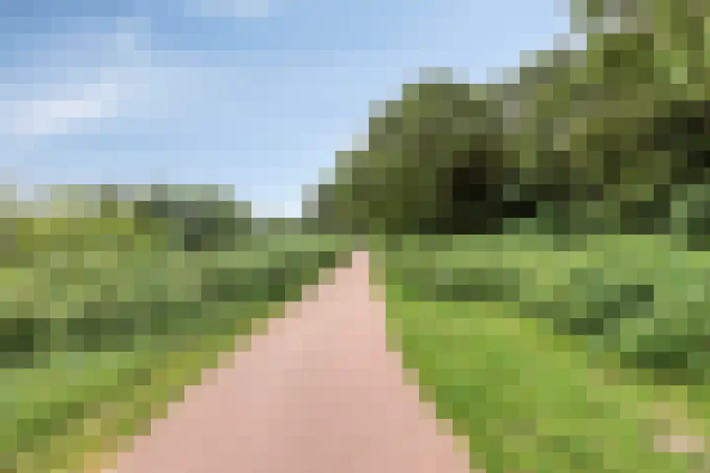 Zomerkade 9 Huizen thumbnail 29