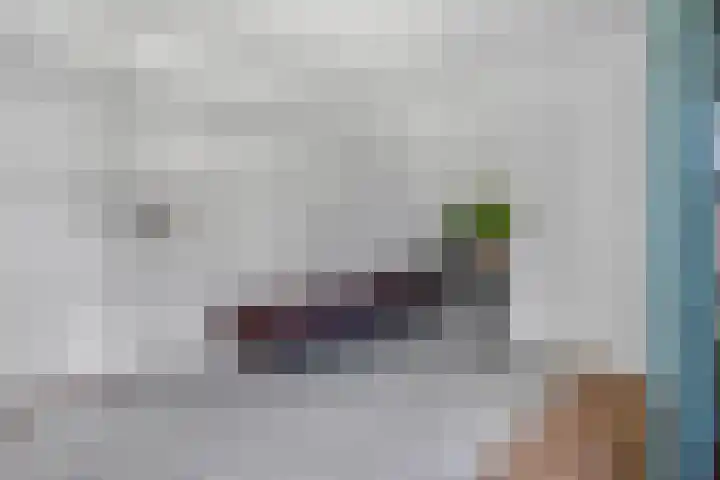 Zomerklokje 16 Tiel thumbnail 15