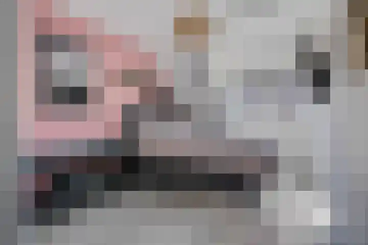 Zomerklokje 16 Tiel thumbnail 21
