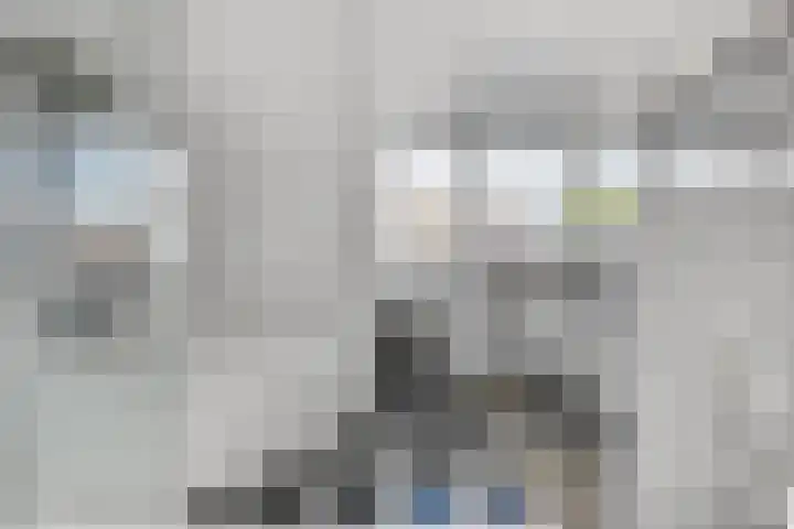 Zomerklokje 16 Tiel thumbnail 24
