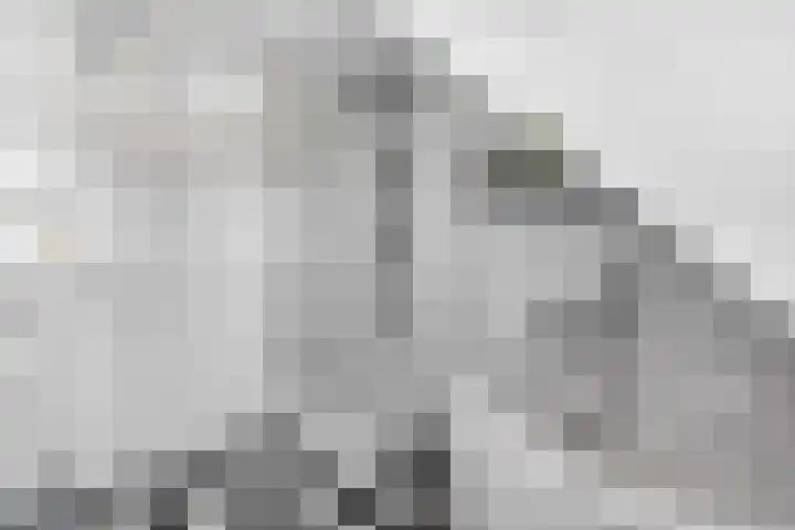 Zomerklokje 16 Tiel thumbnail 25