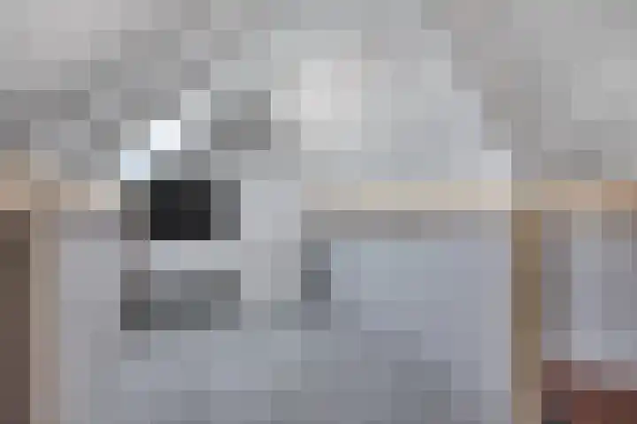 Zomerklokje 16 Tiel thumbnail 31