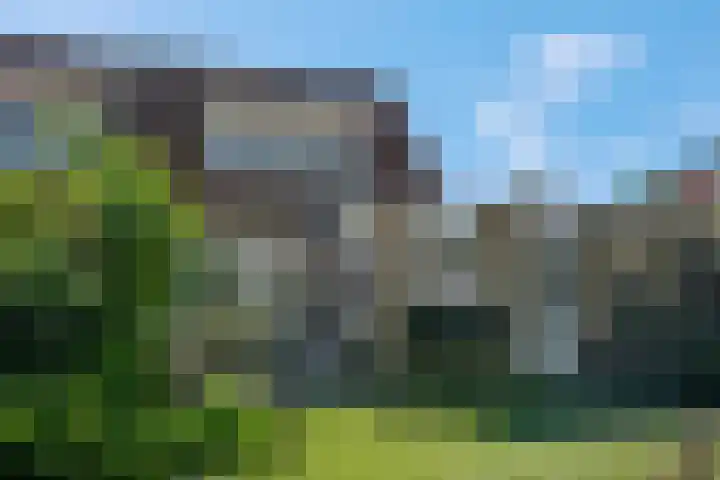 Zomerklokje 16 Tiel thumbnail 34