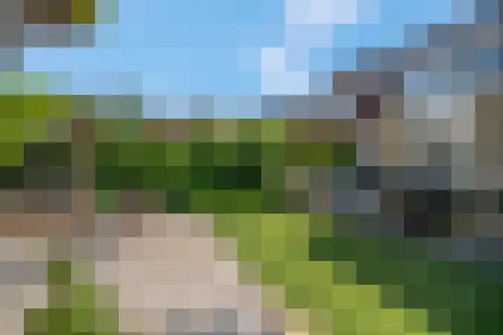 Zomerklokje 16 Tiel thumbnail 37