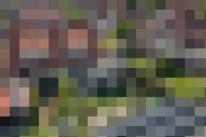 Zomerklokje 16 Tiel thumbnail 38