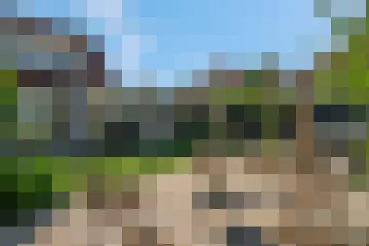 Zomerklokje 16 Tiel thumbnail 4
