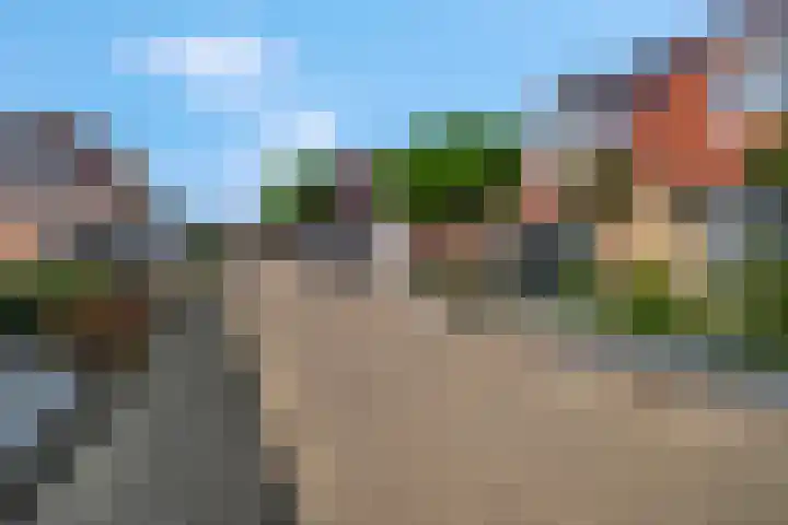 Zomerklokje 16 Tiel thumbnail 40