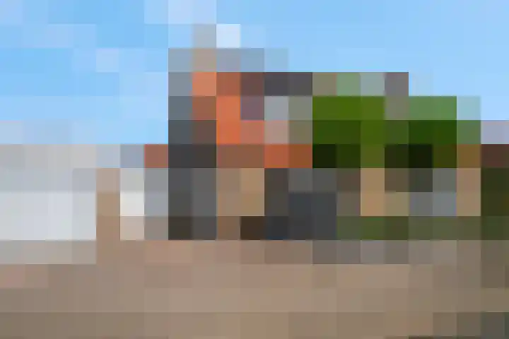 Zomerklokje 16 Tiel thumbnail 41
