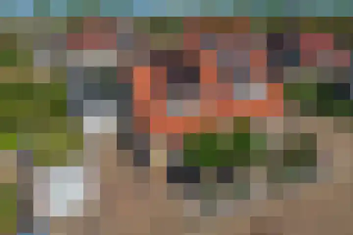 Zomerklokje 16 Tiel thumbnail 5