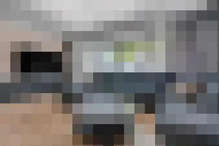 Zomerklokje 16 Tiel thumbnail 7