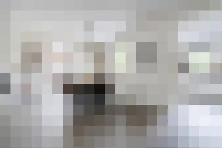 Zomerland 106 Geldrop thumbnail 13