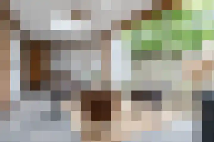 Zomerland 106 Geldrop thumbnail 19