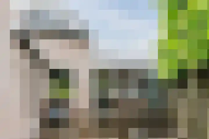 Zomerland 106 Geldrop thumbnail 36
