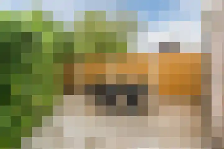 Zomerland 106 Geldrop thumbnail 37