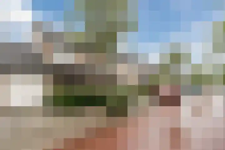 Zomerland 106 Geldrop thumbnail 42