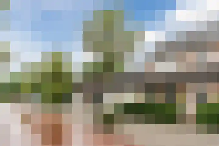 Zomerland 106 Geldrop thumbnail 43