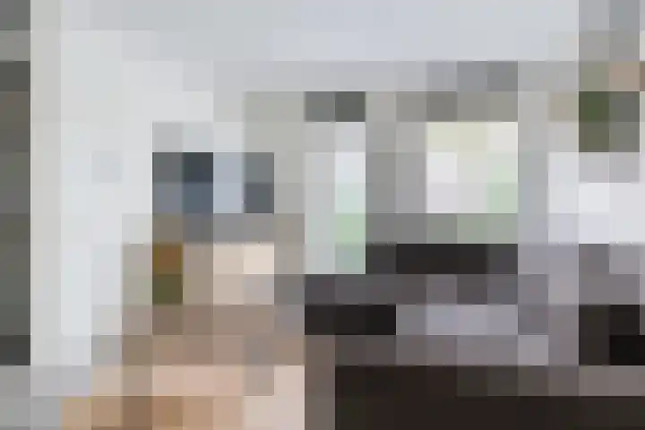 Zomerland 106 Geldrop thumbnail 7