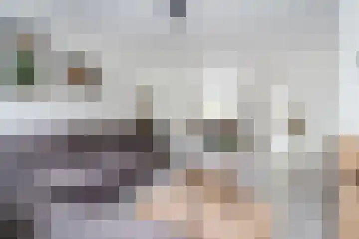 Zomerland 106 Geldrop thumbnail 8