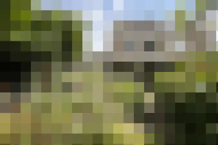 Zomerland 33 Zevenbergen thumbnail 62