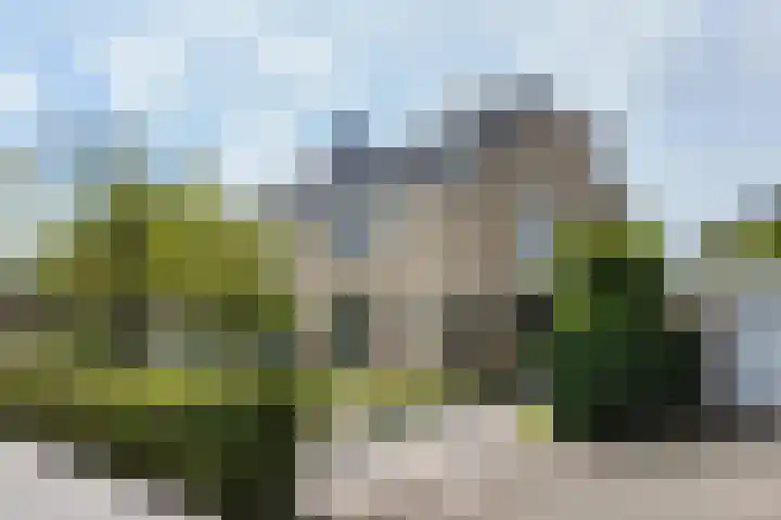 Zomerland 33 Zevenbergen thumbnail 65