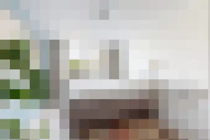 Zomerland 43 Zevenbergen thumbnail 4