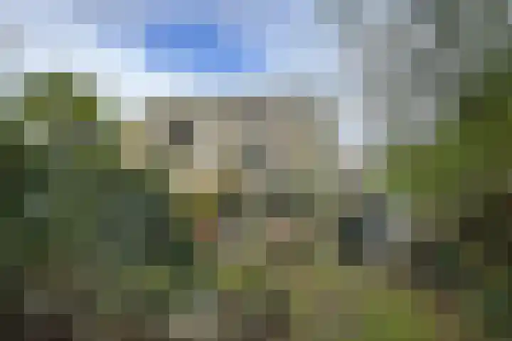Zomerland 43 Zevenbergen thumbnail 5