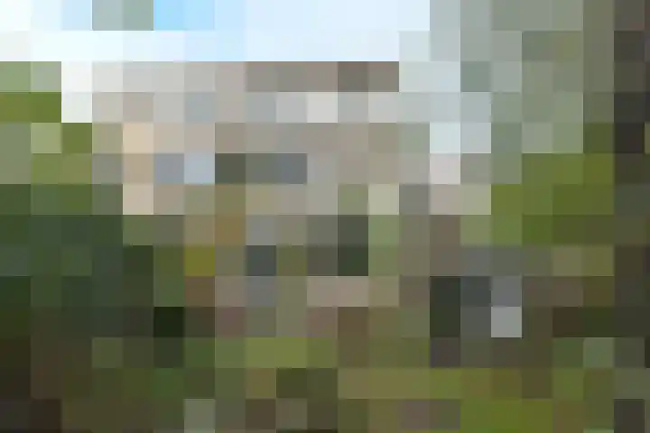 Zomerland 43 Zevenbergen thumbnail 64