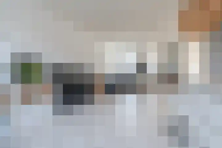 Zomerland 67 Geldrop thumbnail 16