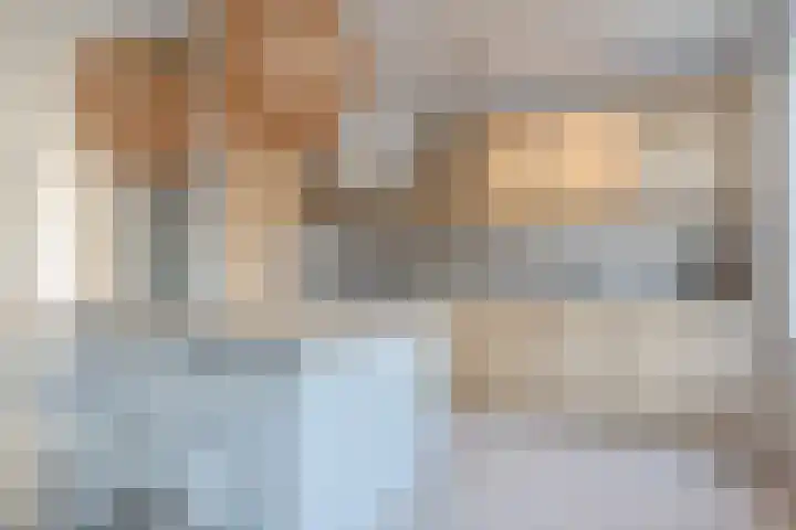 Zomerland 67 Geldrop thumbnail 17