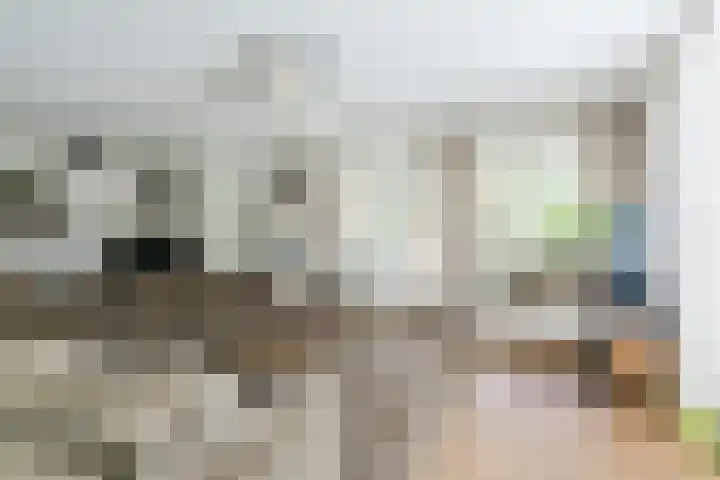 Zomerland 7 Geldrop thumbnail 11