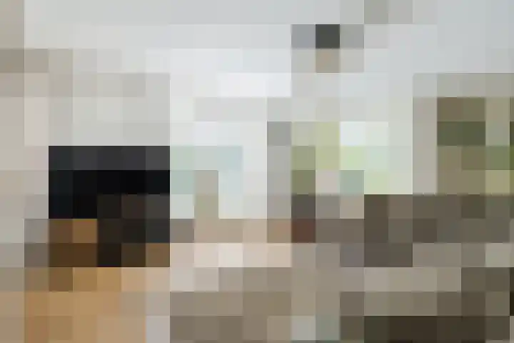 Zomerland 7 Geldrop thumbnail 12