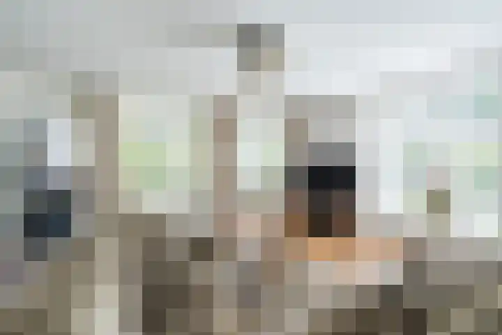 Zomerland 7 Geldrop thumbnail 13