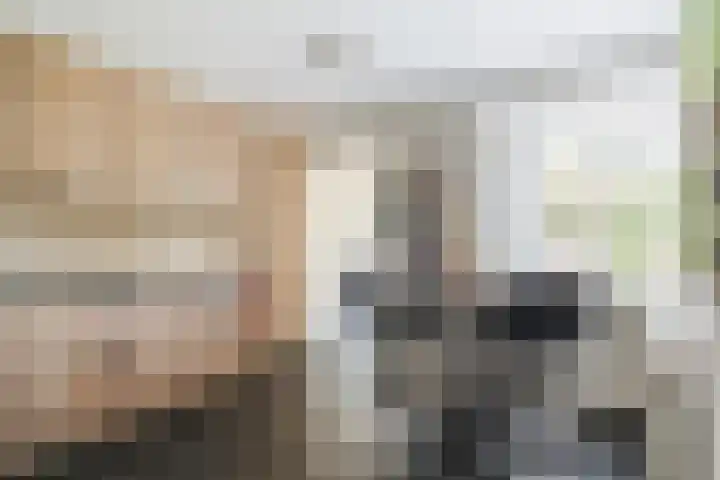 Zomerland 7 Geldrop thumbnail 15