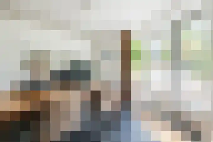 Zomerland 7 Geldrop thumbnail 20