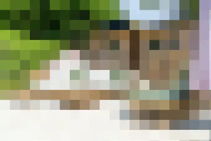 Zomerland 7 Geldrop thumbnail 26